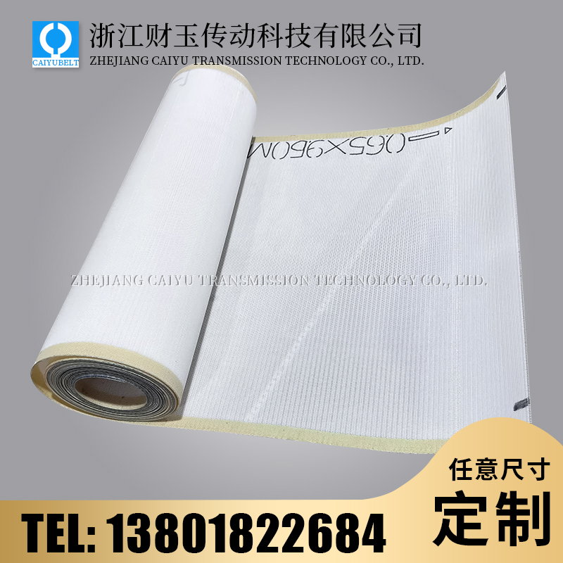 浙江財(cái)玉傳動(dòng)科技有限公司/CAIYUBELT/尼龍網(wǎng)傳送帶