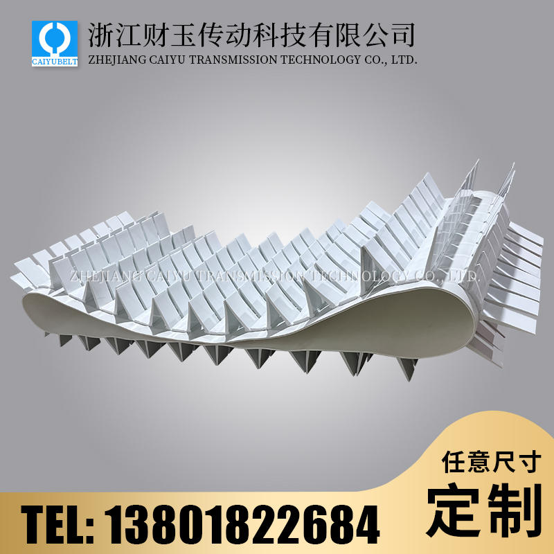 浙江財玉傳動科技有限公司/CAIYUBELT/擋板輸送帶