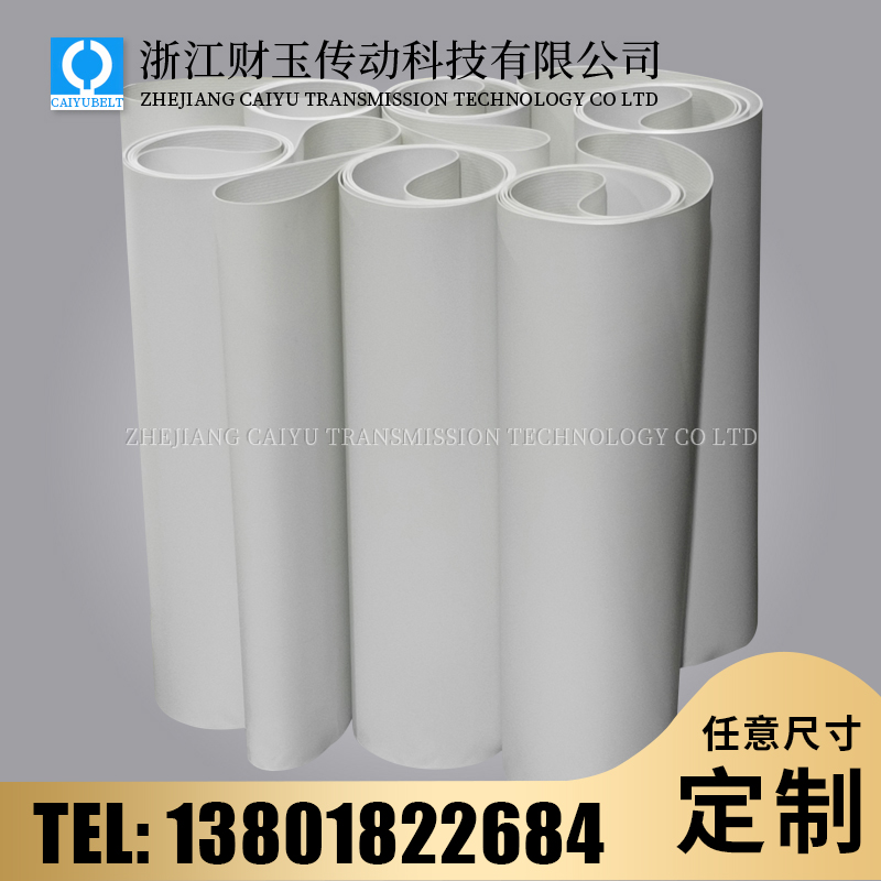 浙江財(cái)玉傳動(dòng)科技有限公司/CAIYUBELT/PU亞光平皮帶