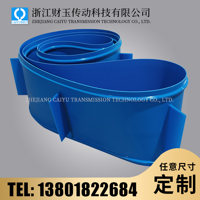 浙江財玉傳動科技有限公司/CAIYUBELT/藍(lán)色亞光擋板輸送帶