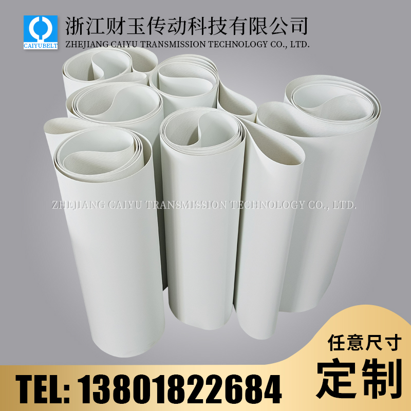 浙江財玉傳動科技有限公司/CAIYUBELT/白色PU亞光耐油輸送帶