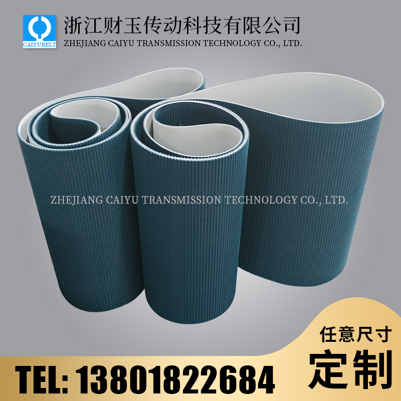 浙江財(cái)玉傳動(dòng)科技有限公司/CAIYUBELT/草型紋輸送帶