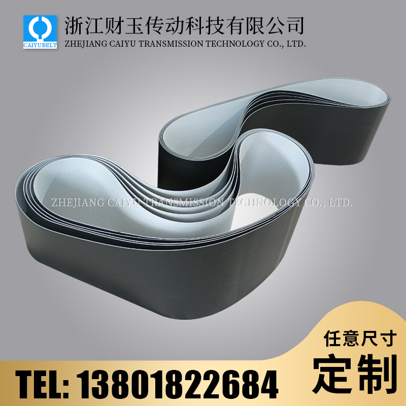 浙江財(cái)玉傳動(dòng)科技有限公司/CAIYUBELT/黑色亞光PVC輸送帶