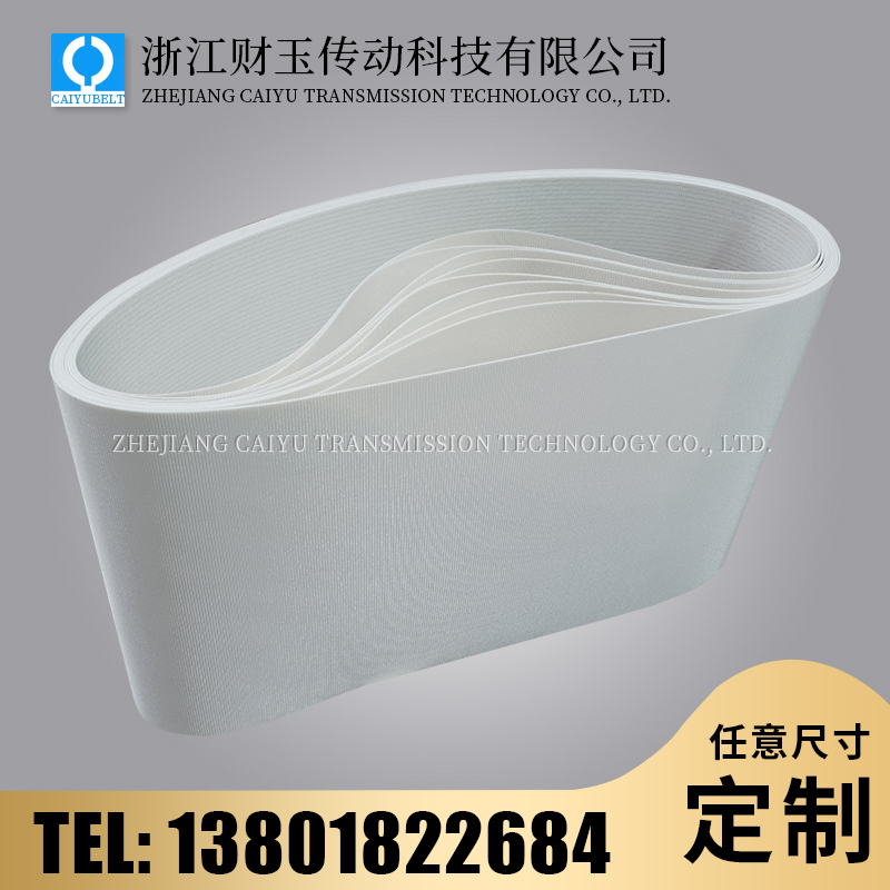浙江財(cái)玉傳動(dòng)科技有限公司/CAIYUBELT/白色PVC耐油輸送帶