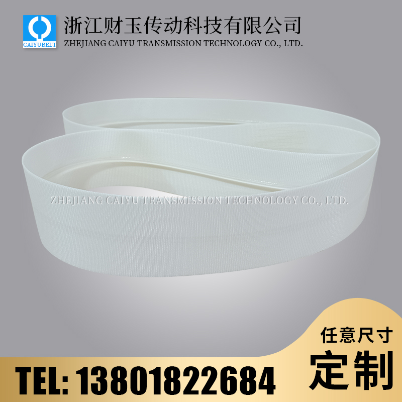 浙江財(cái)玉傳動(dòng)科技有限公司/CAIYUBELT/白色PVC雙面帆布輸送帶