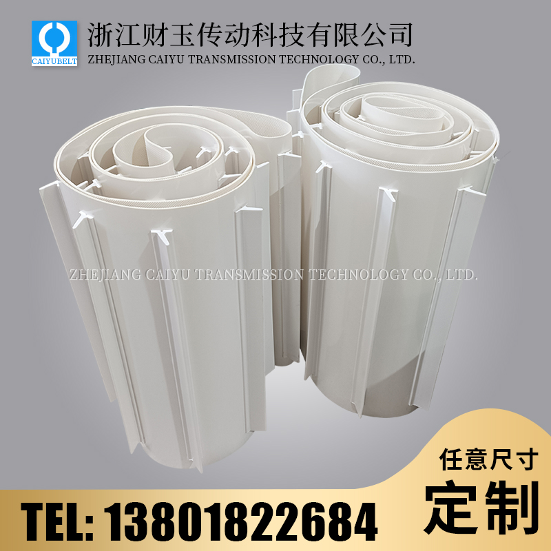 浙江財(cái)玉傳動(dòng)科技有限公司/CAIYUBELT/擋板輸送帶