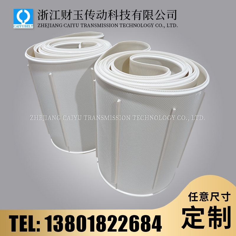 浙江財(cái)玉傳動(dòng)科技有限公司/CAIYUBELT/鉆石紋導(dǎo)條輸送帶
