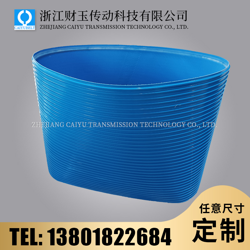 浙江財(cái)玉傳動科技有限公司/CAIYUBELT/導(dǎo)條輸送帶