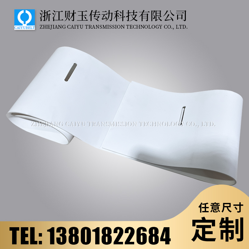 浙江財(cái)玉傳動(dòng)科技有限公司/CAIYUBELT/白色PVC打孔輸送帶