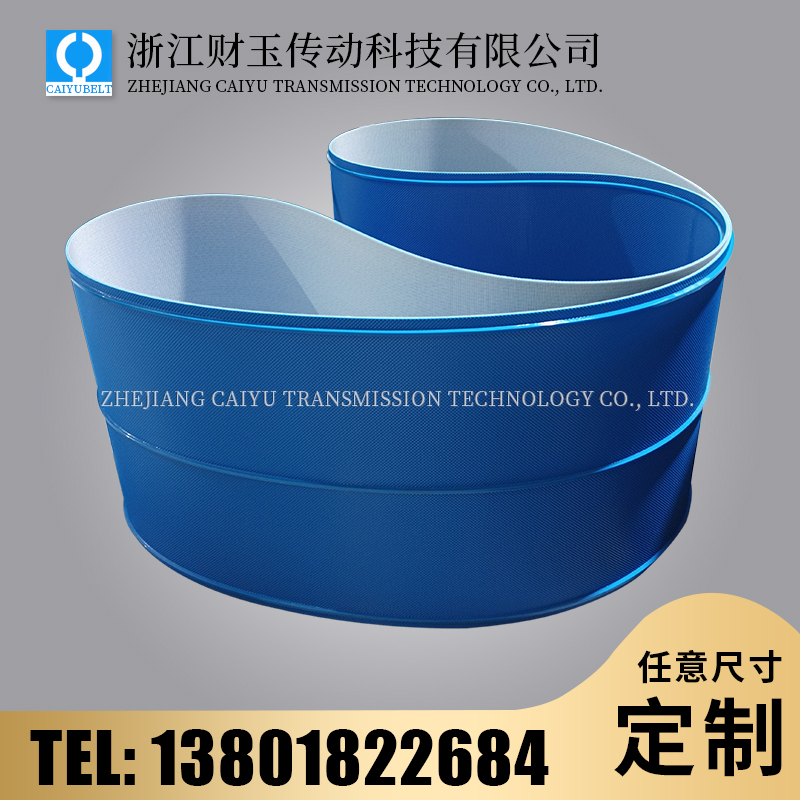 浙江財(cái)玉傳動(dòng)科技有限公司/CAIYUBELT/藍(lán)色鉆石紋輸送帶