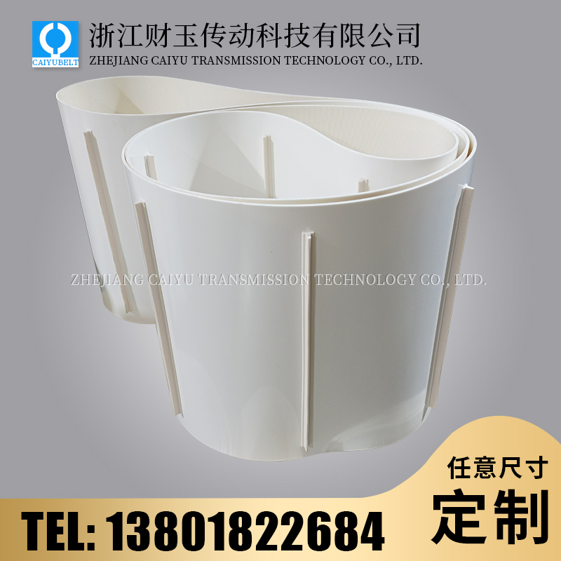 浙江財(cái)玉傳動(dòng)科技有限公司/CAIYUBELT/輸送帶加導(dǎo)條