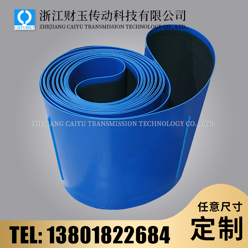 浙江財(cái)玉傳動(dòng)科技有限公司/CAIYUBELT/輸送帶加導(dǎo)條