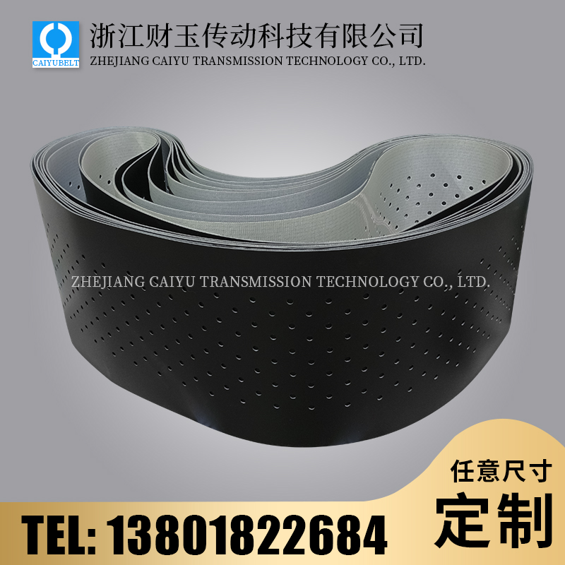 浙江財(cái)玉傳動(dòng)科技有限公司/CAIYUBELT/黑色亞光打孔輸送帶