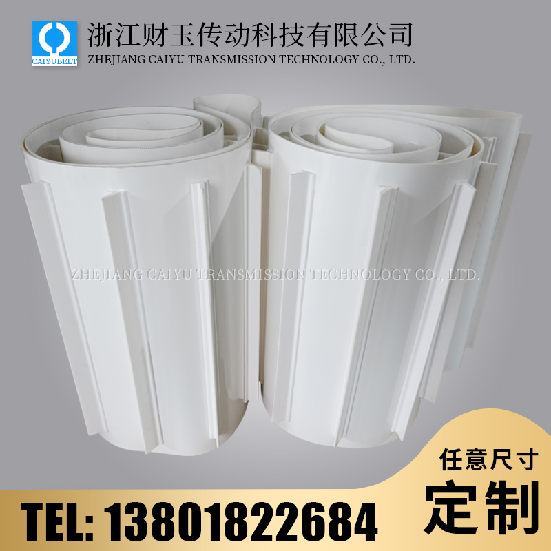 浙江財(cái)玉傳動(dòng)科技有限公司/CAIYUBELT/白色亞光擋板輸送帶