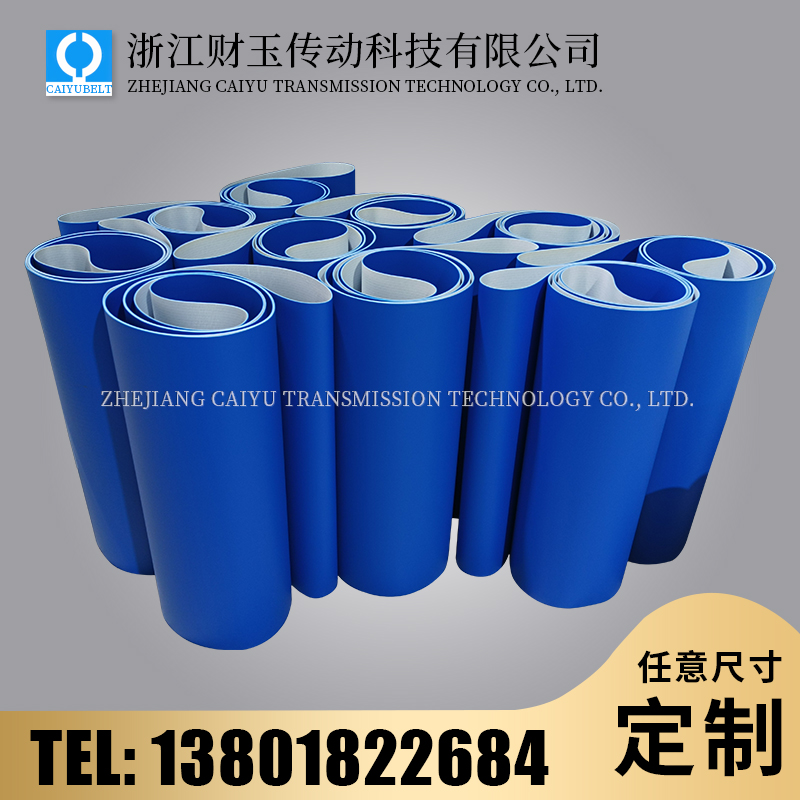 浙江財(cái)玉傳動(dòng)科技有限公司/CAIYUBELT/藍(lán)色亞光PVC輸送帶