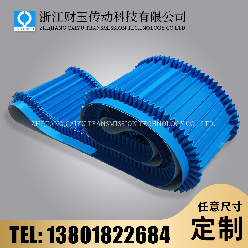 浙江財(cái)玉傳動(dòng)科技有限公司/CAIYUBELT/PU裙邊帶