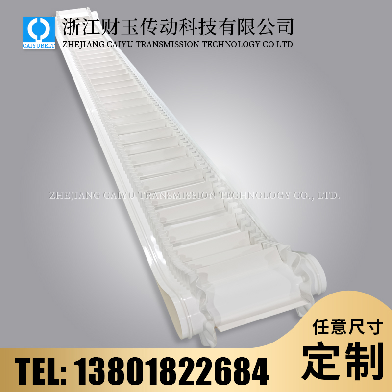 浙江財(cái)玉傳動(dòng)科技有限公司/CAIYUBELT/PVC白色裙邊帶