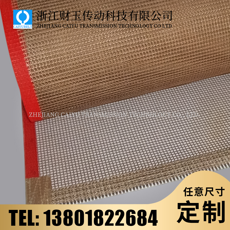 浙江財(cái)玉傳動(dòng)科技有限公司/CAIYUBELT/特氟龍導(dǎo)條輸送帶