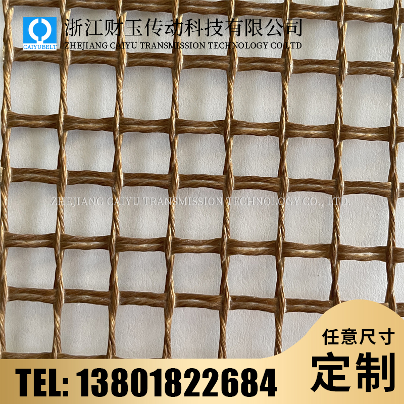 浙江財(cái)玉傳動(dòng)科技有限公司/CAIYUBELT/特氟龍輸送皮帶