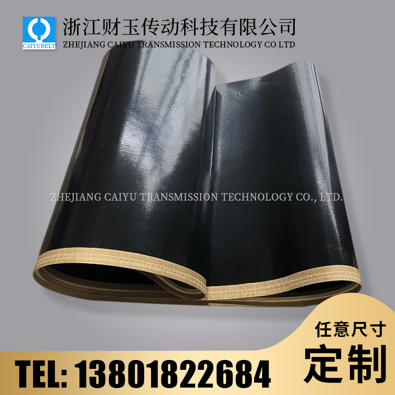 浙江財(cái)玉傳動(dòng)科技有限公司/CAIYUBELT/特氟龍輸送皮帶