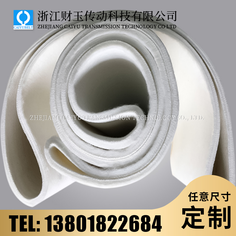 浙江財(cái)玉傳動(dòng)科技有限公司/CAIYUBELT/毛氈輸送帶