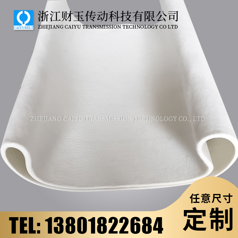 浙江財玉傳動科技有限公司/CAIYUBELT/毛氈輸送帶