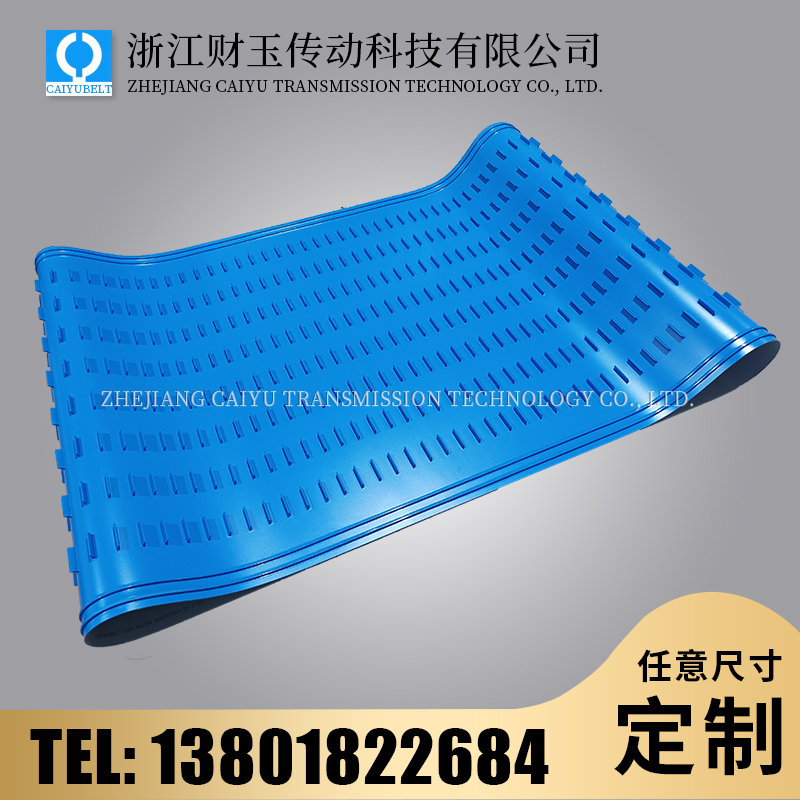 浙江財玉傳動科技有限公司/CAIYUBELT/藍色擋板輸送帶