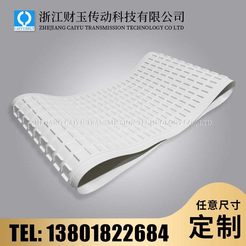 浙江財(cái)玉傳動(dòng)科技有限公司/CAIYUBELT/PU擋板輸送帶