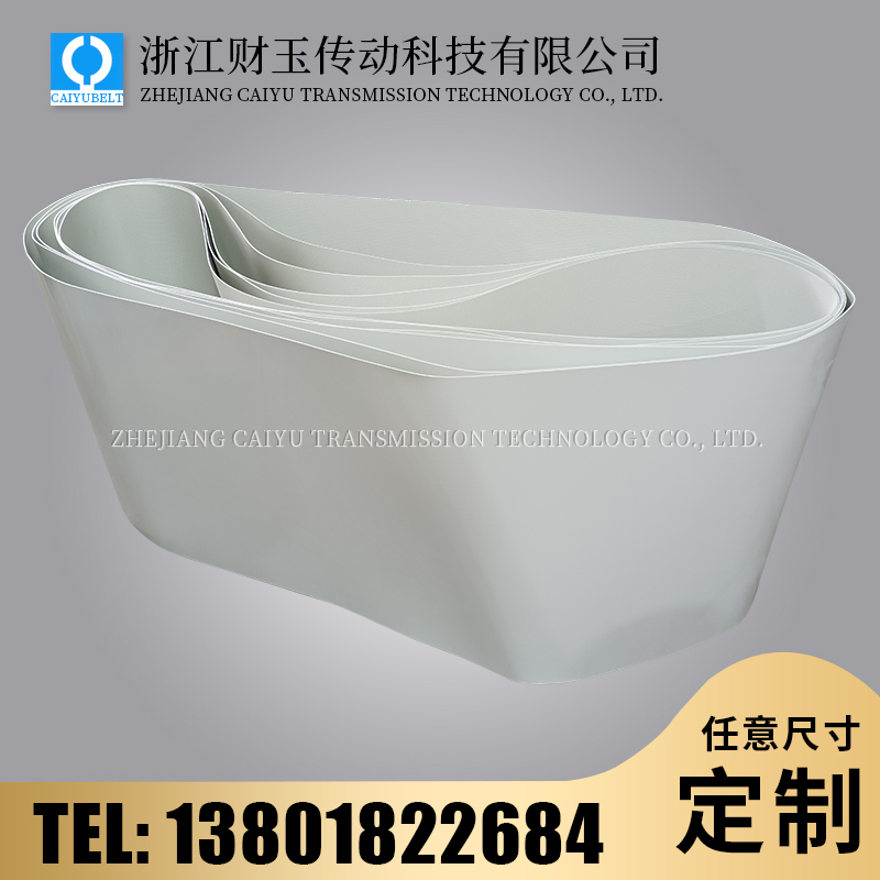 浙江財玉傳動科技有限公司/CAIYUBELT/白色亞光輸送帶