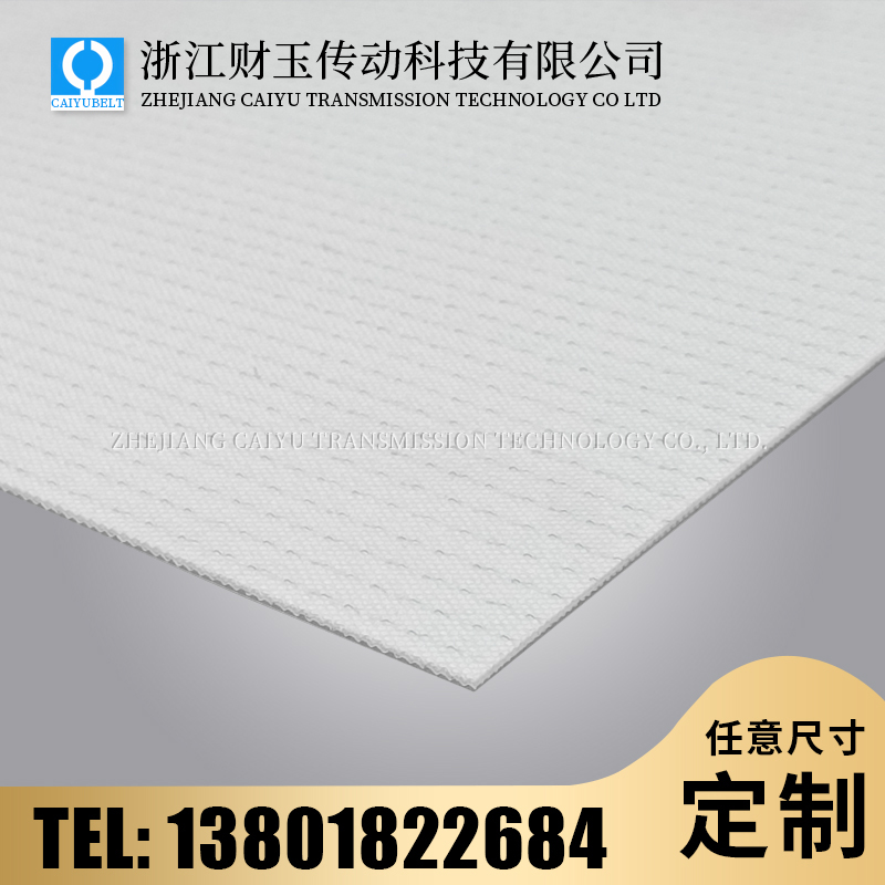 浙江財玉傳動科技有限公司/CAIYUBELT/PE輸送帶